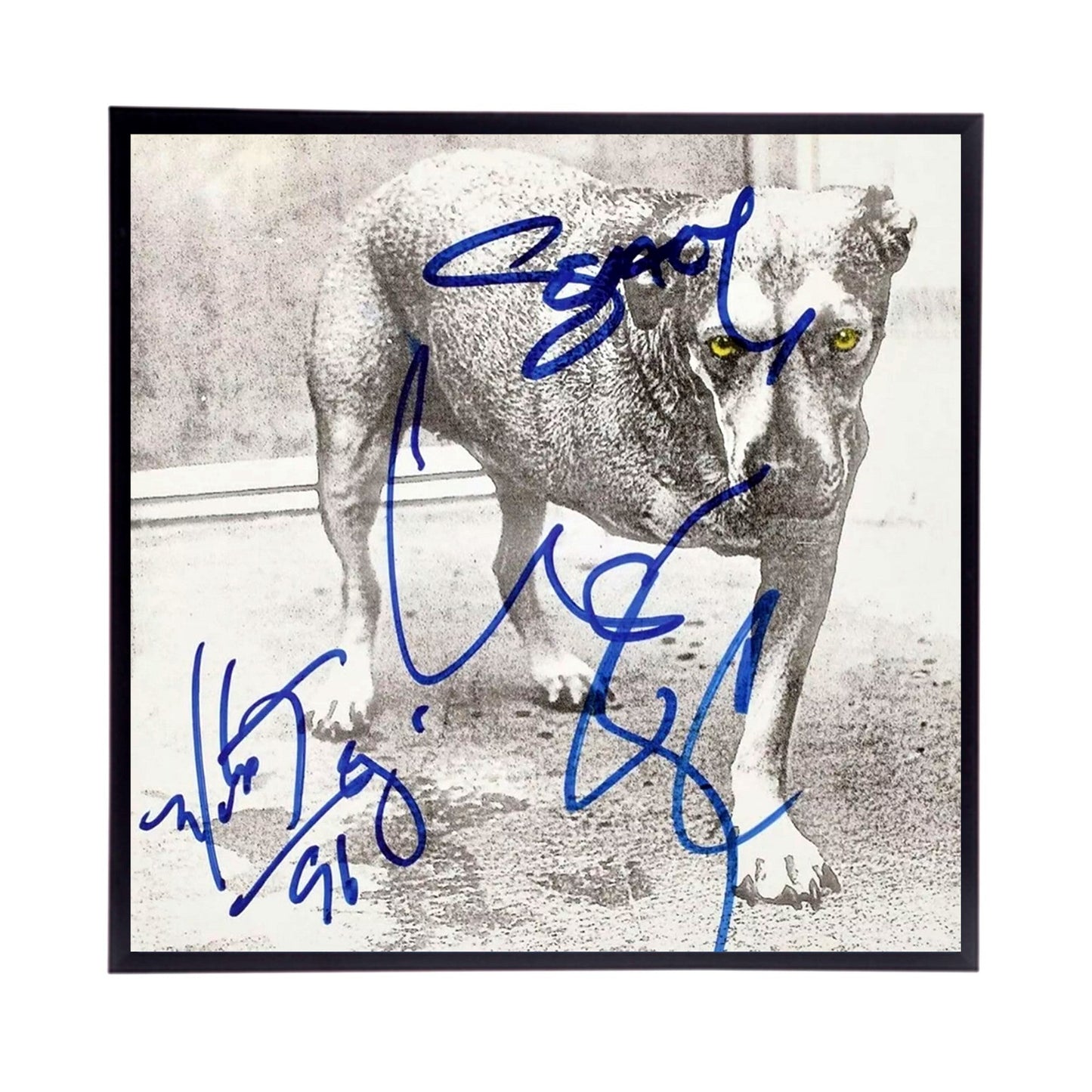 Autographed Alice in Chains Album Cover Replicas. 12" x 12" inches. Frame included. Just message me to tell me the album cover replica you want framed and shipped.