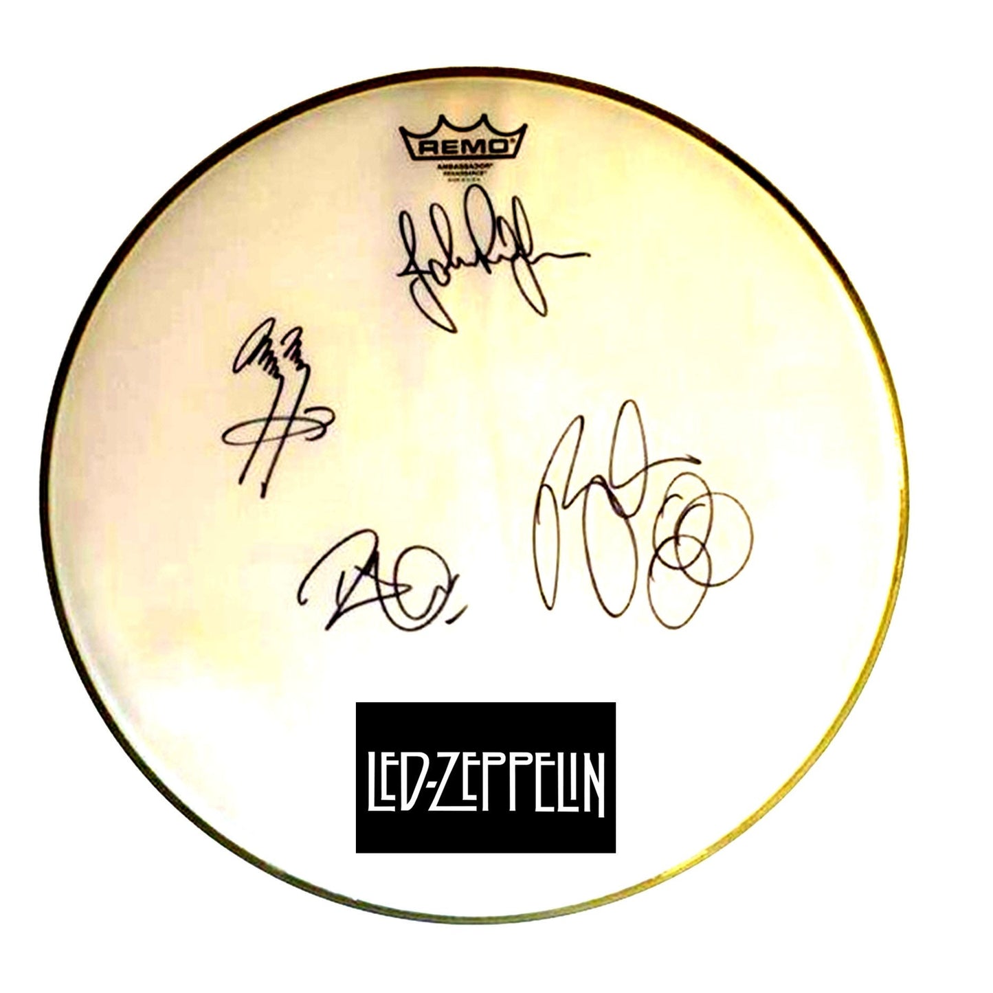 Led Zeppelin John Bonham Autographed / Signed 10" Drumhead Replica